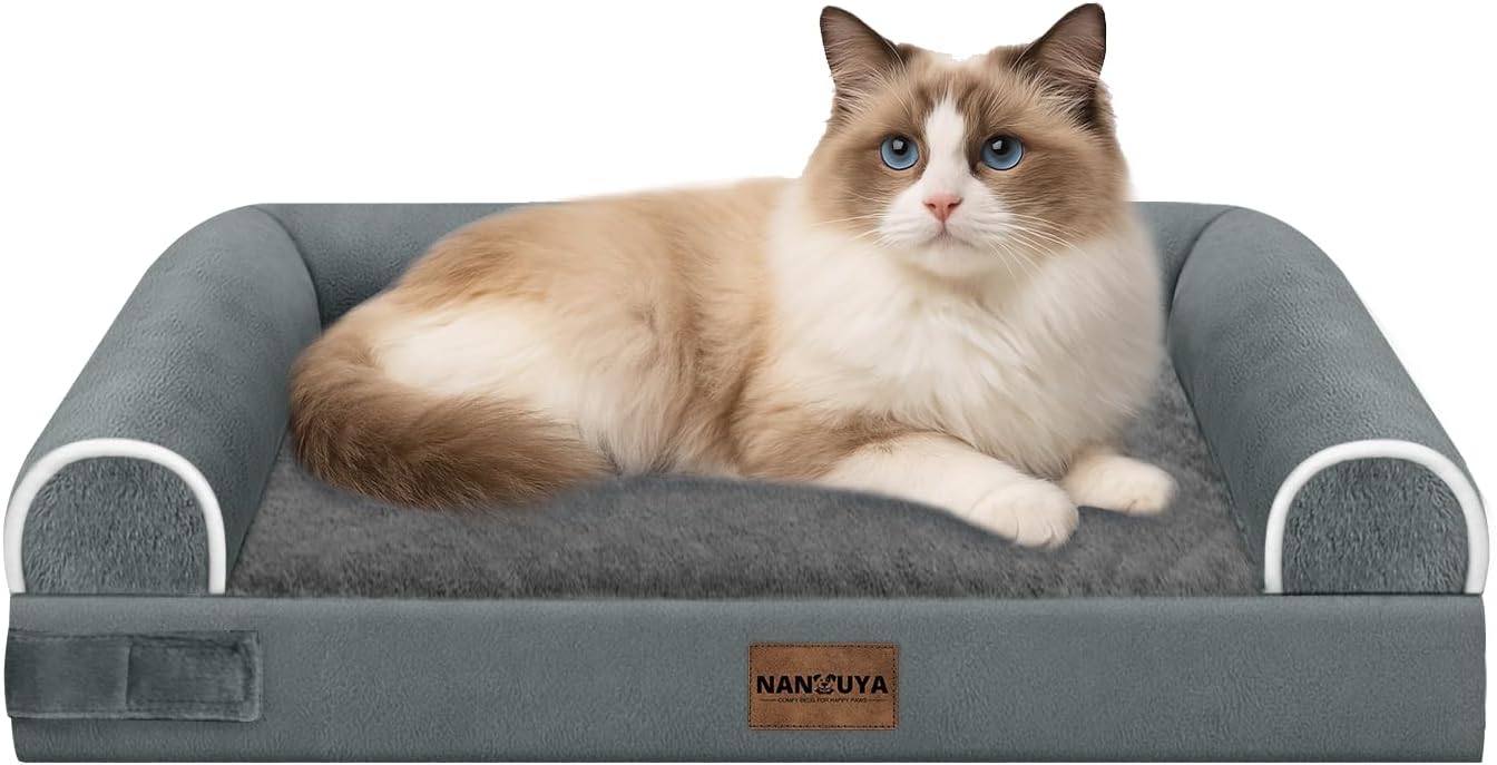 Large Dog Bed Orthopedic Washable: Beds Bolster XL Bed Large Big Dogs Memory Foam Couch Sofa Waterproof with Removable Cover