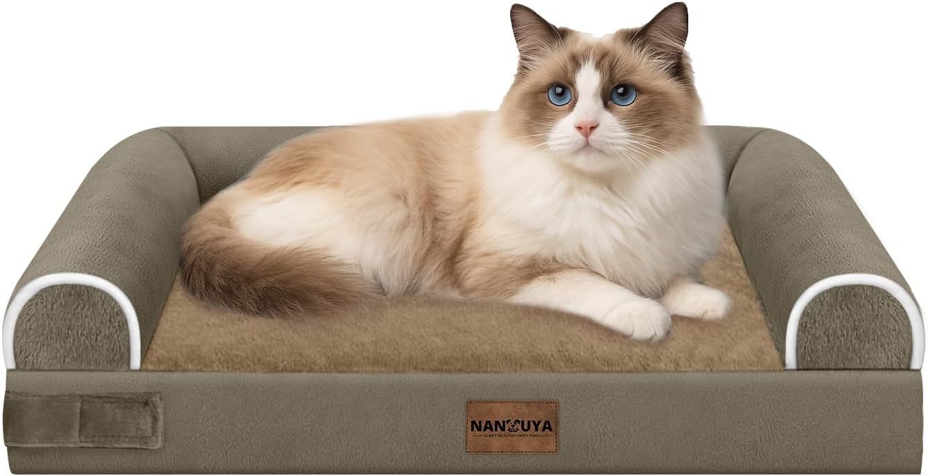 Large Dog Bed Orthopedic Washable: Beds Bolster XL Bed Large Big Dogs Memory Foam Couch Sofa Waterproof with Removable Cover