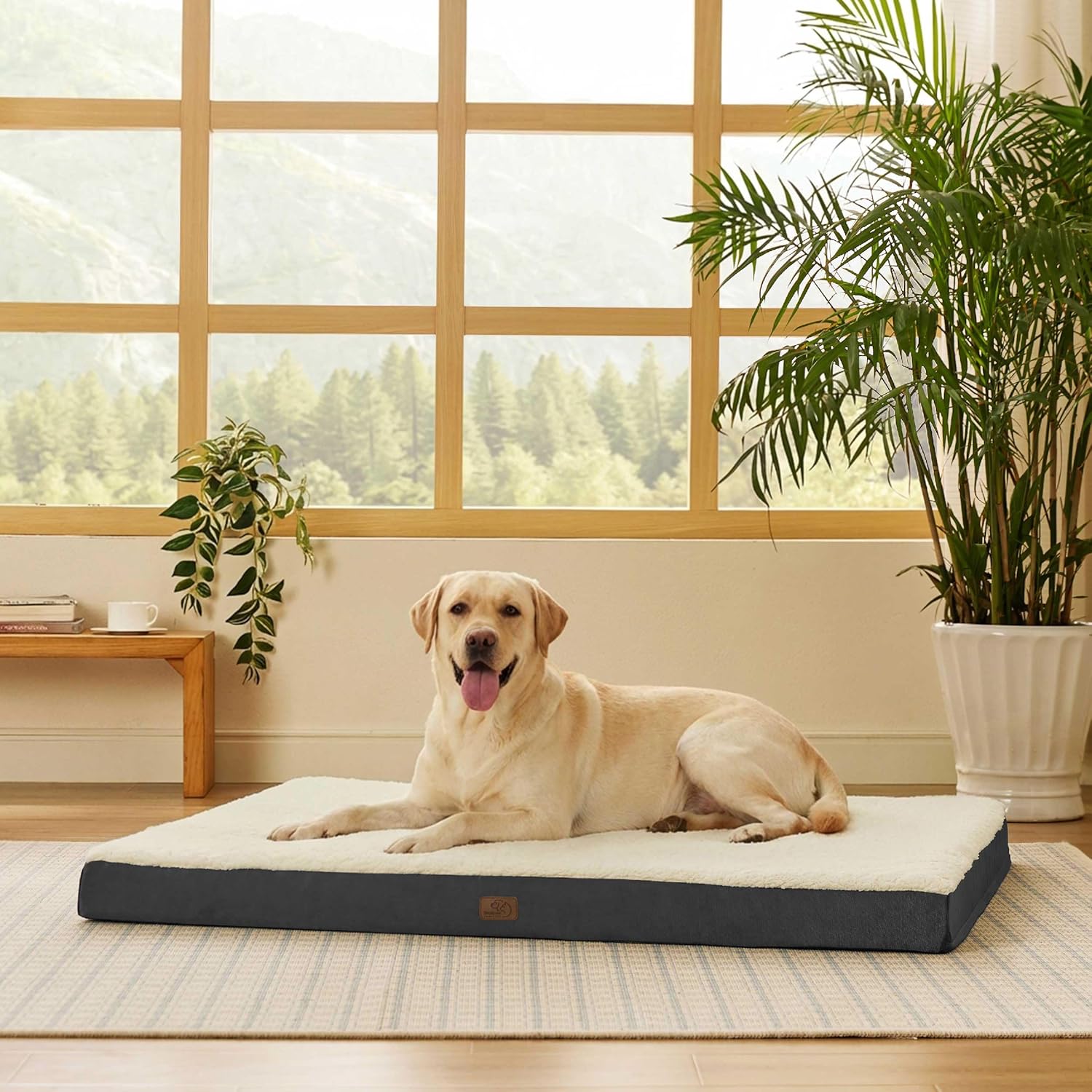 Bedsure Dog Beds Large Sized Dog - Comfy Flat Pet Beds with Removable Washable Cover, Orthopedic Egg Crate Foam Puppy Mat, Suitable for Pet Up to 65 lbs