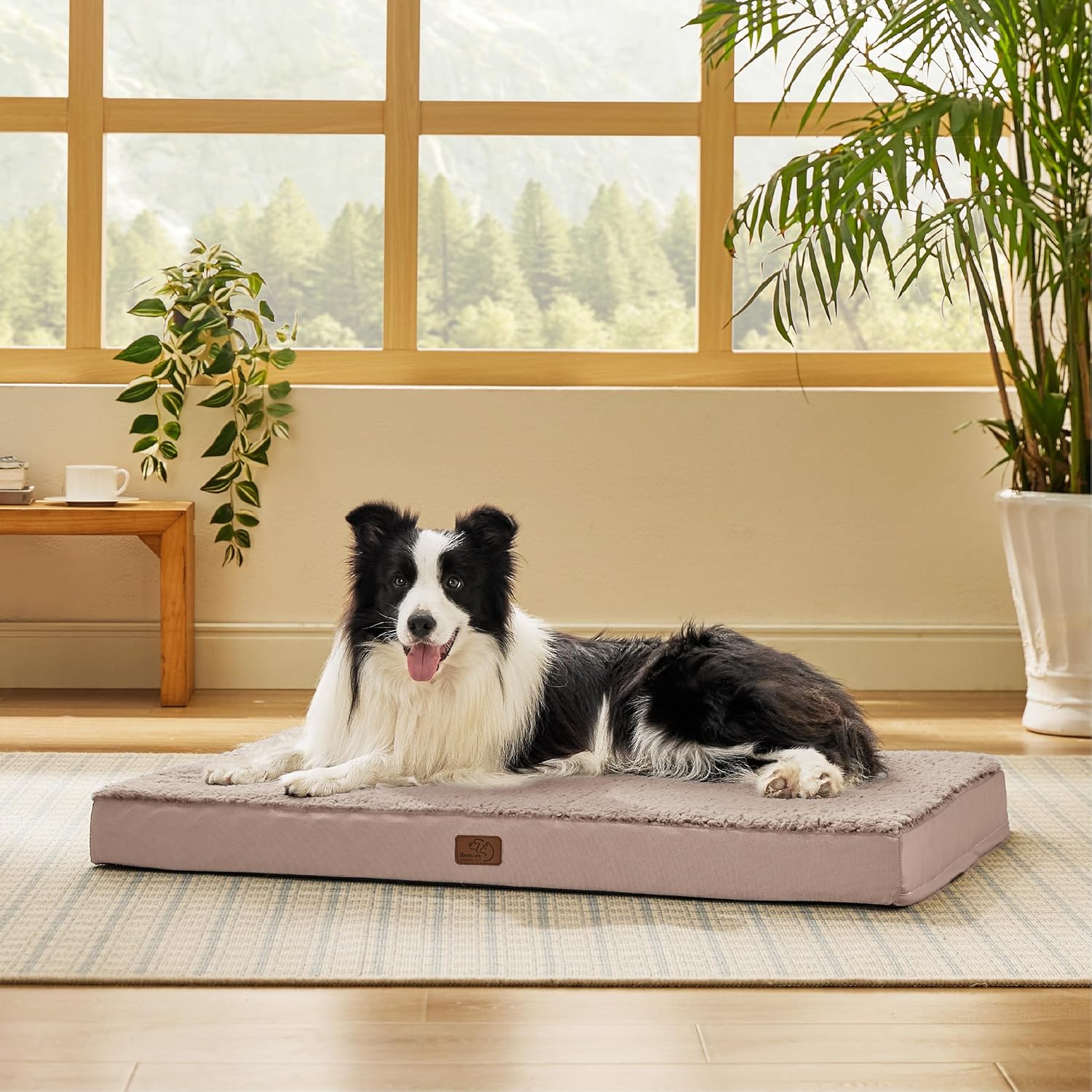 Bedsure Dog Beds Large Sized Dog - Comfy Flat Pet Beds with Removable Washable Cover, Orthopedic Egg Crate Foam Puppy Mat, Suitable for Pet Up to 65 lbs